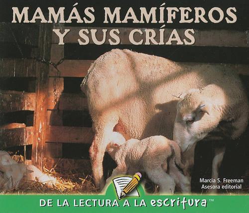 Mamas Mamiferos Y Sus Crias