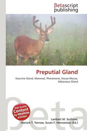 Preputial Gland