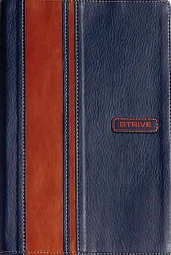 TNIV Strive