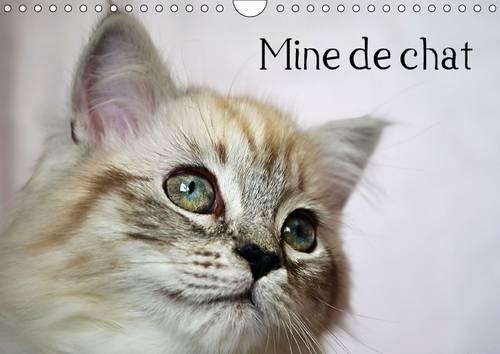 Mine de chat 2015: Photos fascinantes des tigres de salon prises de très près.(Calvendo Animaux)