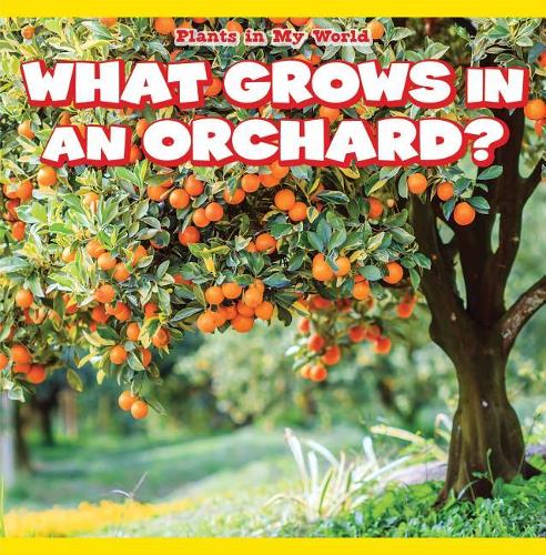 What Grows in an Orchard?: (Plants in My World)