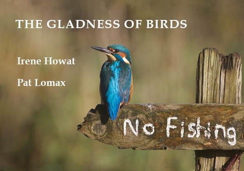 The Gladness of Birds