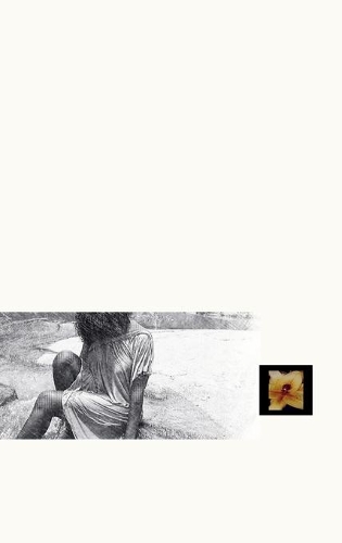 Nuances i Odes - SVELTESS COVER