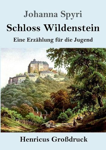 Schloss Wildenstein (Großdruck): Eine Erzählung für die Jugend