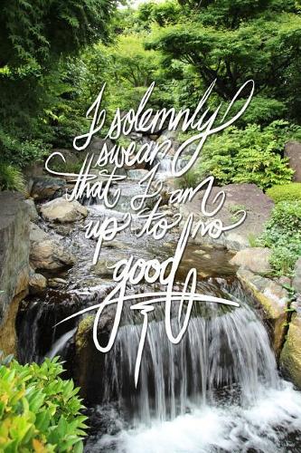 I solemnly swear that I am up to no good