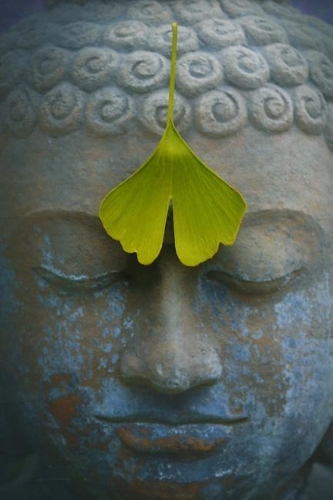 Buddha Statue and Ginkgo Biloba Leaf Journal