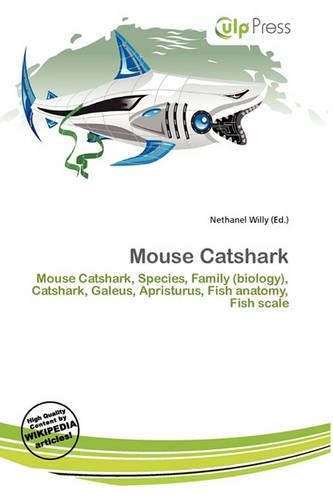 Mouse Catshark