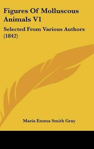 Figures Of Molluscous Animals V1