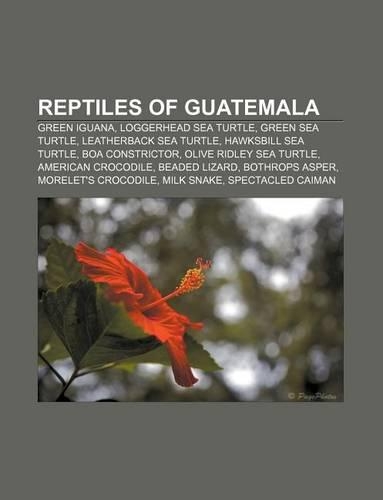 Reptiles of Guatemala