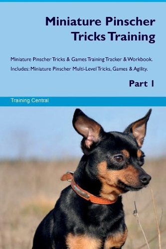 Miniature Pinscher Tricks Training Miniature Pinscher Tricks & Games Training Tracker & Workbook. Includes