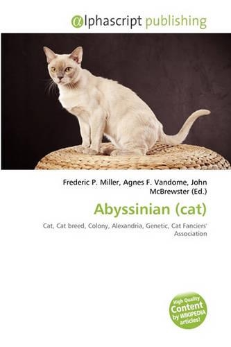 Abyssinian (Cat): (English)