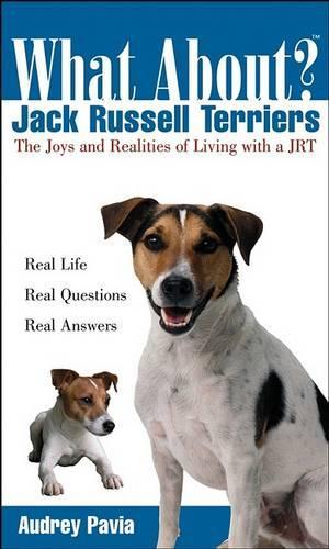 What About Jack Russell Terriers?