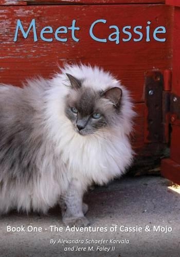 Meet Cassie: (1 The Adventures of Cassie & Mojo)
