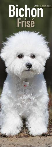 Bichon Frise 2021 Slim Calendar