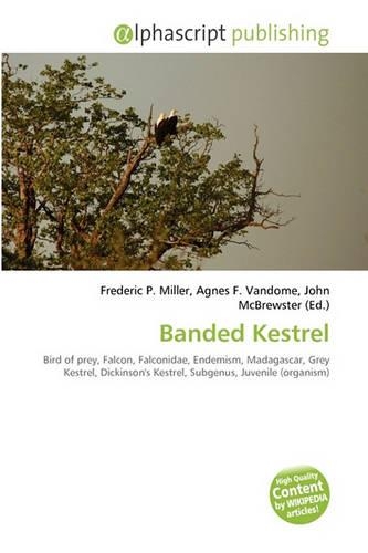 Banded Kestrel