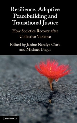 Resilience, Adaptive Peacebuilding and Transitional Justice: How Societies Recover after Collective Violence