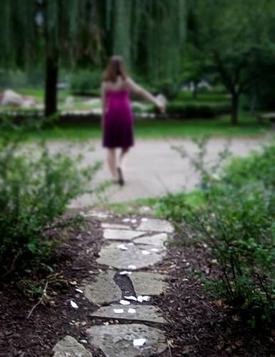 Dropping Flower Petals