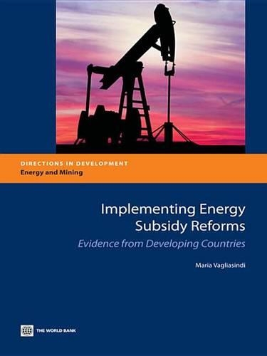 Implementing Energy Subsidy Reforms: Evidence from Developing Countries(Directions in Developement. Energy and Mining)