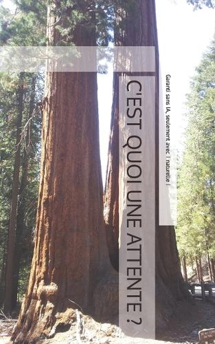 C'est quoi une attente ?