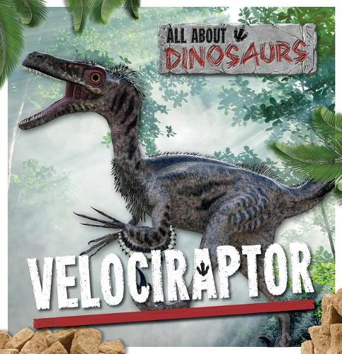 Velociraptor: (All about Dinosaurs)