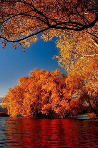 The Fall Scenery of Lake Tekapo, New Zealand