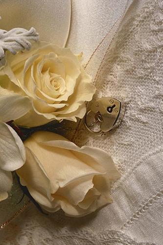 Journal Weddings Fancy Wedding Invitations