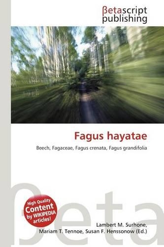 Fagus Hayatae