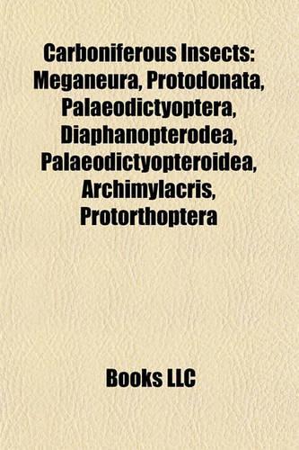 Carboniferous Insects