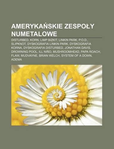 Ameryka Skie Zespo y Numetalowe