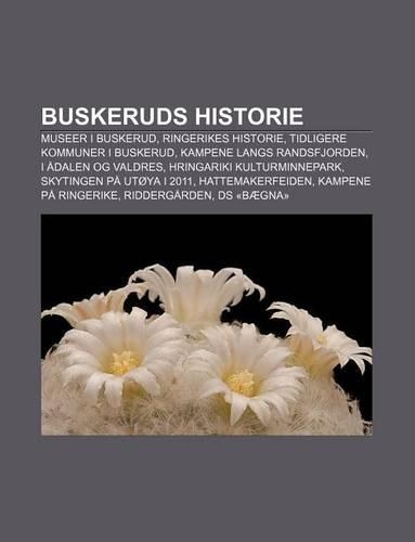 Buskeruds Historie