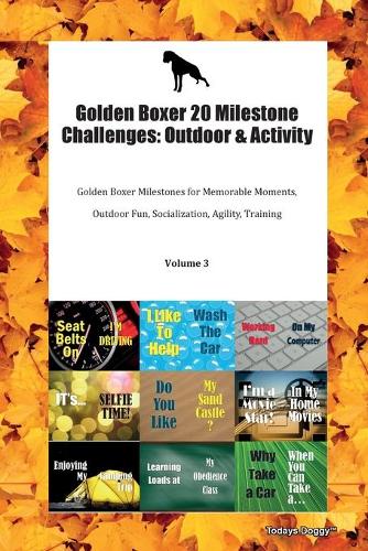 Golden Boxer 20 Milestone Challenges: Outdoor & Activity Golden Boxer Milestones for Memorable Moments, Outdoor Fun, Socialization, Agility, Training Volume 3