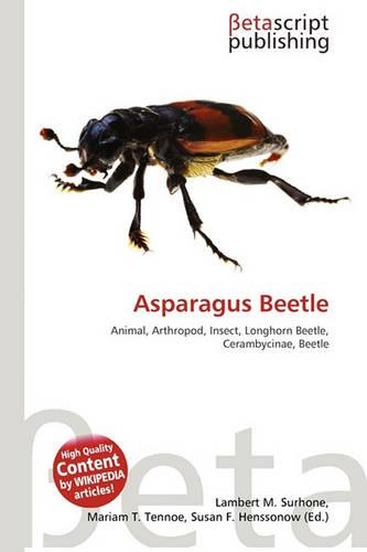 Asparagus Beetle