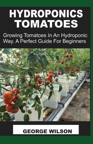 Hydroponics Tomatoes