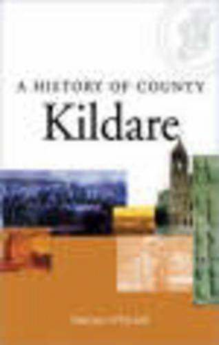 A History of County Kildare