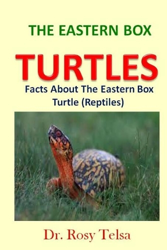 The Eastern Box Turtle
