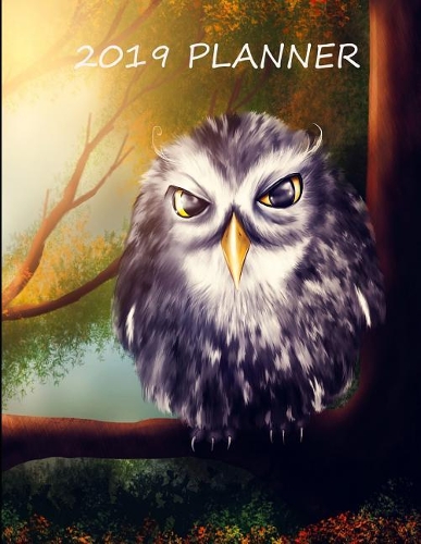 2019 Planner: 1 Year Planner for January 2019 Through December 2019. 8.5x11 with 53 Pages