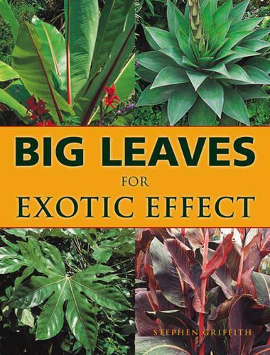 Big Leaves for Exotic Effect