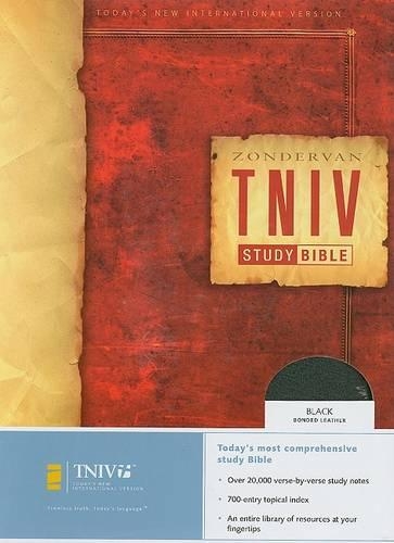 Study Bible-TNIV