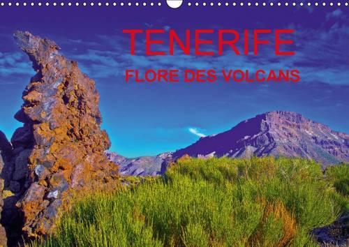 TENERIFE FLORE DES VOLCANS 2016: Des champs de lave bariolés de flore endémique créant la surprise dans un désert bien peu austère.(Calvendo Nature)