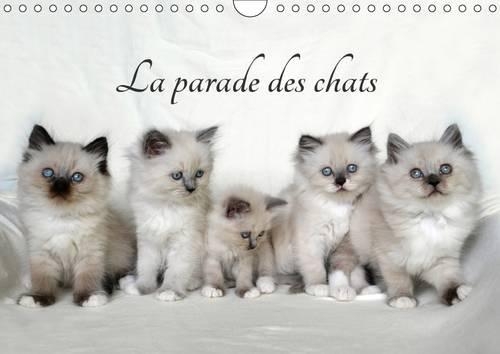 La Parade Des Chats 2017