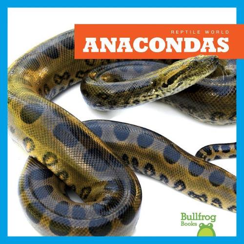 Anacondas: (Reptiles)