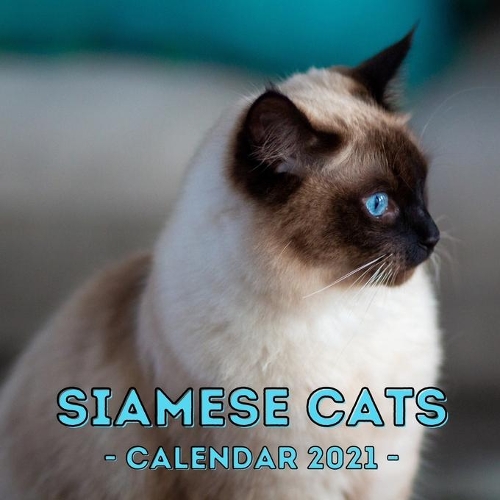 Siamese Cats