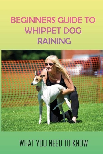 Beginners Guide To Whippet Dog Training