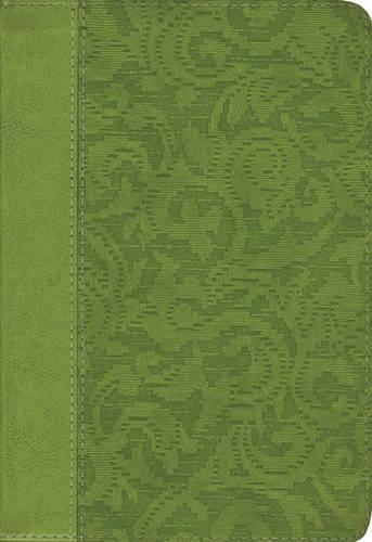 NIV Women of Faith Study Bible