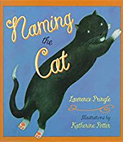 Houghton Mifflin Soar to Success: Reader, Level 4 Set 7 Naming the Cat