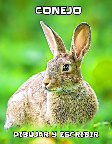 Conejo