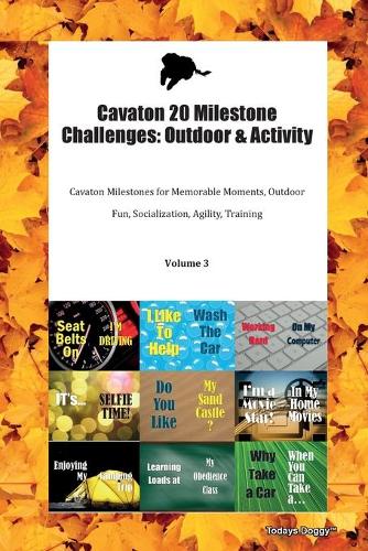 Cavaton 20 Milestone Challenges