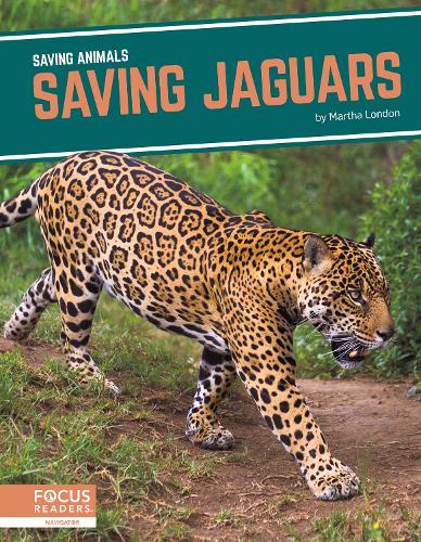 Saving Jaguars: (Saving Animals)