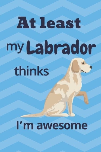 At least my Labrador thinks I'm awesome
