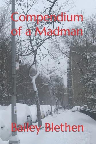 Compendium of a Madman
